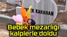 Bebek mezarlığı kalplerle doldu