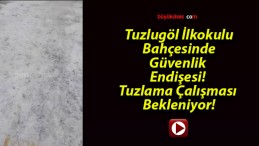 Tuzlugöl İlkokulu Bahçesinde Güvenlik Endişesi! Tuzlama Çalışması Bekleniyor!