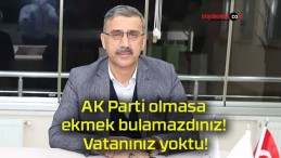 AK Parti olmasa ekmek bulamazdınız! Vatanınız yoktu!