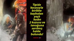 Tipide kocasıyla birlikte kaybolan yaşlı kadın 2 kuzusu ve tavuğuna sarılmış halde bulundu!