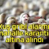 Kuş gribi alarmı! 5 mahalle karantina altına alındı