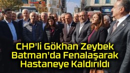 CHP’li Gökhan Zeybek Batman’da Fenalaşarak Hastaneye Kaldırıldı