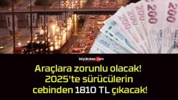 Araçlara zorunlu olacak! 2025’te sürücülerin cebinden 1810 TL çıkacak!