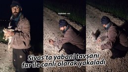 Sivas’ta araç farı ile tavşanı canlı olarak yakaladı… Sonra ise…