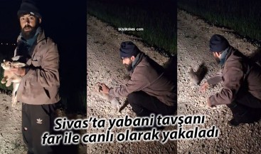 Sivas’ta araç farı ile tavşanı canlı olarak yakaladı… Sonra ise…