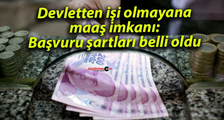 Devletten işi olmayana maaş imkanı: Başvuru şartları belli oldu