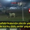 Paşafabrikasında piknik yapan aile korku dolu anlar yaşadı!