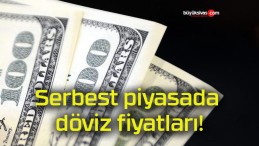 Serbest piyasada döviz fiyatları!