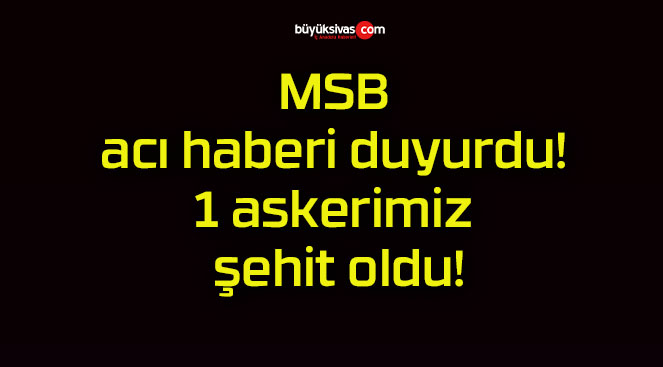 MSB acı haberi duyurdu! 1 askerimiz şehit oldu!