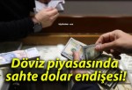 Döviz piyasasında sahte dolar endişesi!