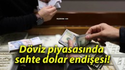 Döviz piyasasında sahte dolar endişesi!