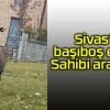 Sivas’ta başıboş eşek…Sahibi aranıyor!