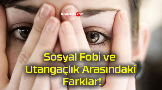 Sosyal Fobi ve Utangaçlık Arasındaki Farklar!