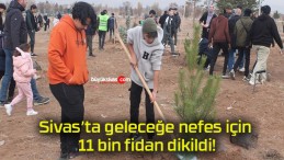 Sivas’ta geleceğe nefes için 11 bin fidan dikildi!