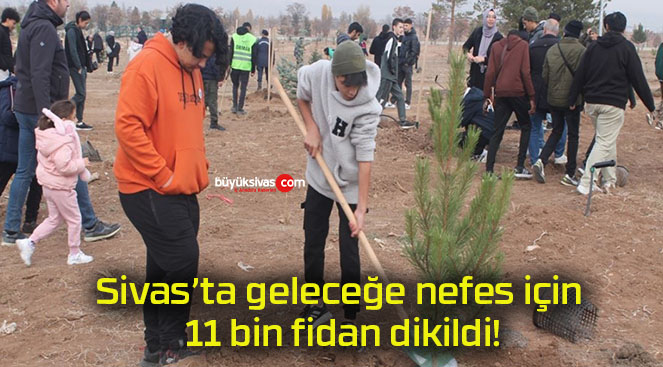 Sivas’ta geleceğe nefes için 11 bin fidan dikildi!