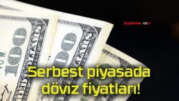 Serbest piyasada döviz fiyatları!