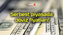 Serbest piyasada döviz fiyatları!