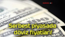 Serbest piyasada döviz fiyatları!