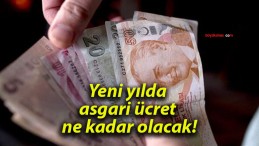 Yeni yılda asgari ücret ne kadar olacak!