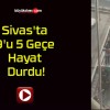 Sivas’ta 9’u 5 Geçe Hayat Durdu!