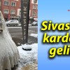 Sivas’ta kardan gelin