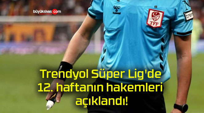 Trendyol Süper Lig’de 12. haftanın hakemleri açıklandı!