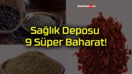 Sağlık Deposu 9 Süper Baharat!