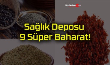 Sağlık Deposu 9 Süper Baharat!