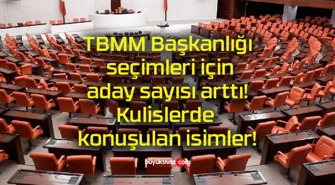 TBMM Başkanlığı seçimleri için aday sayısı arttı! Kulislerde konuşulan isimler!