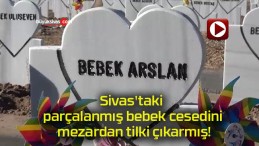 Sivas’taki parçalanmış bebek cesedini mezardan tilki çıkarmış!