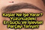 Kaşlar Ne İşe Yarar? Yüzünüzdeki En Güçlü Ve İşlevsel Parçayı Tanıyın!