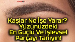 Kaşlar Ne İşe Yarar? Yüzünüzdeki En Güçlü Ve İşlevsel Parçayı Tanıyın!