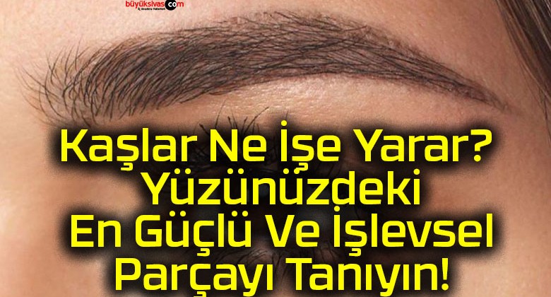 Kaşlar Ne İşe Yarar? Yüzünüzdeki En Güçlü Ve İşlevsel Parçayı Tanıyın!