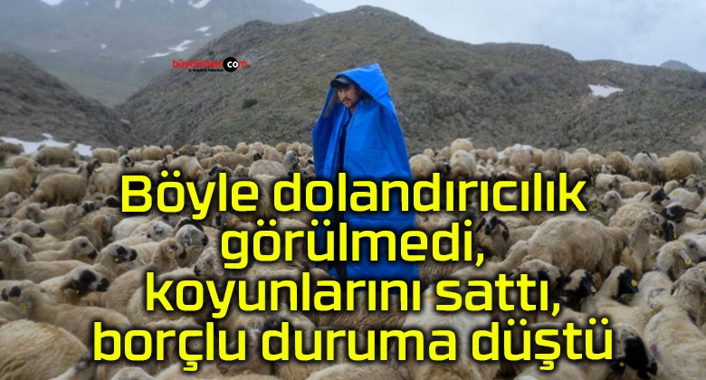 Böyle dolandırıcılık görülmedi, koyunlarını sattı, borçlu duruma düştü