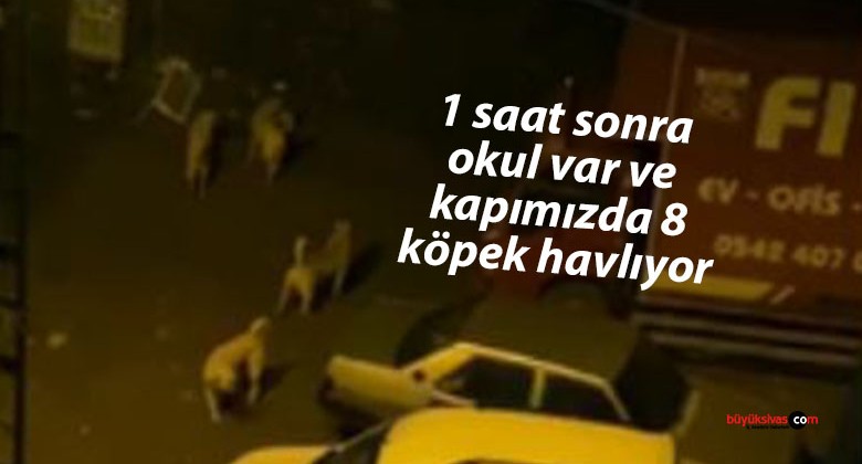 Sivas Aydoğan Mahallesi’nde Köpek Sorunu: Veliler ve Çocuklar Tedirgin