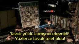 Tavuk yüklü kamyonu devrildi! Yüzlerce tavuk telef oldu!