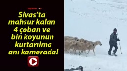 Sivas’ta mahsur kalan 4 çoban ve bin koyunun kurtarılma anı kamerada!