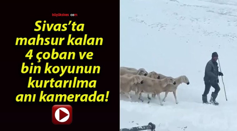 Sivas’ta mahsur kalan 4 çoban ve bin koyunun kurtarılma anı kamerada!