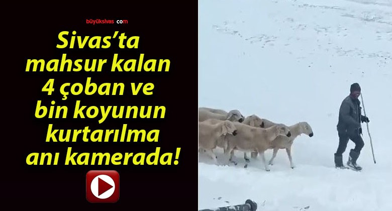 Sivas’ta mahsur kalan 4 çoban ve bin koyunun kurtarılma anı kamerada!