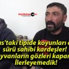 Sivas’taki tipide koyunları ölen sürü sahibi kardeşler! Hayvanların gözleri kapandı! İlerleyemedik!