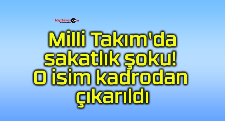 Milli Takım’da sakatlık şoku! O isim kadrodan çıkarıldı