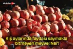 Kış aylarında faydası saymakla bitmeyen meyve! Nar!