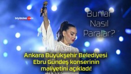 Ankara Büyükşehir Belediyesi Ebru Gündeş konserinin maliyetini açıkladı!