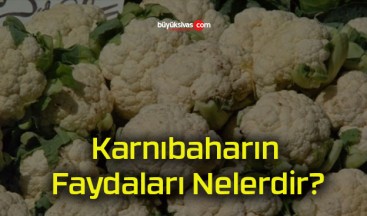 Karnıbaharın Faydaları Nelerdir?