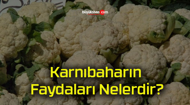 Karnıbaharın Faydaları Nelerdir?