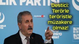 Destici: Terörle teröristle müzakere olmaz!