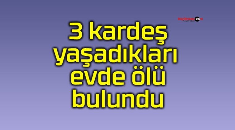 3 kardeş yaşadıkları evde ölü bulundu