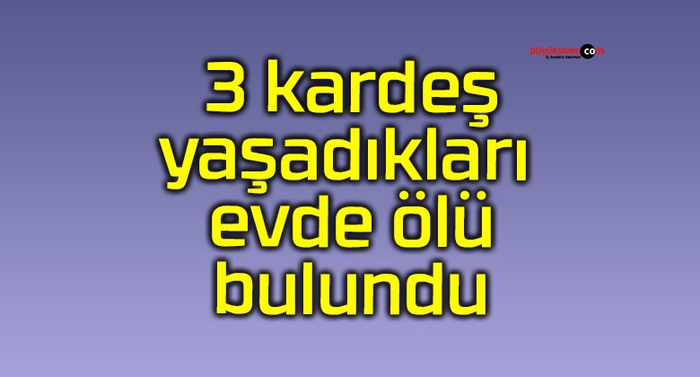 3 kardeş yaşadıkları evde ölü bulundu