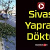 Sivas Yaprak Döktü!