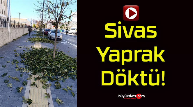 Sivas Yaprak Döktü!